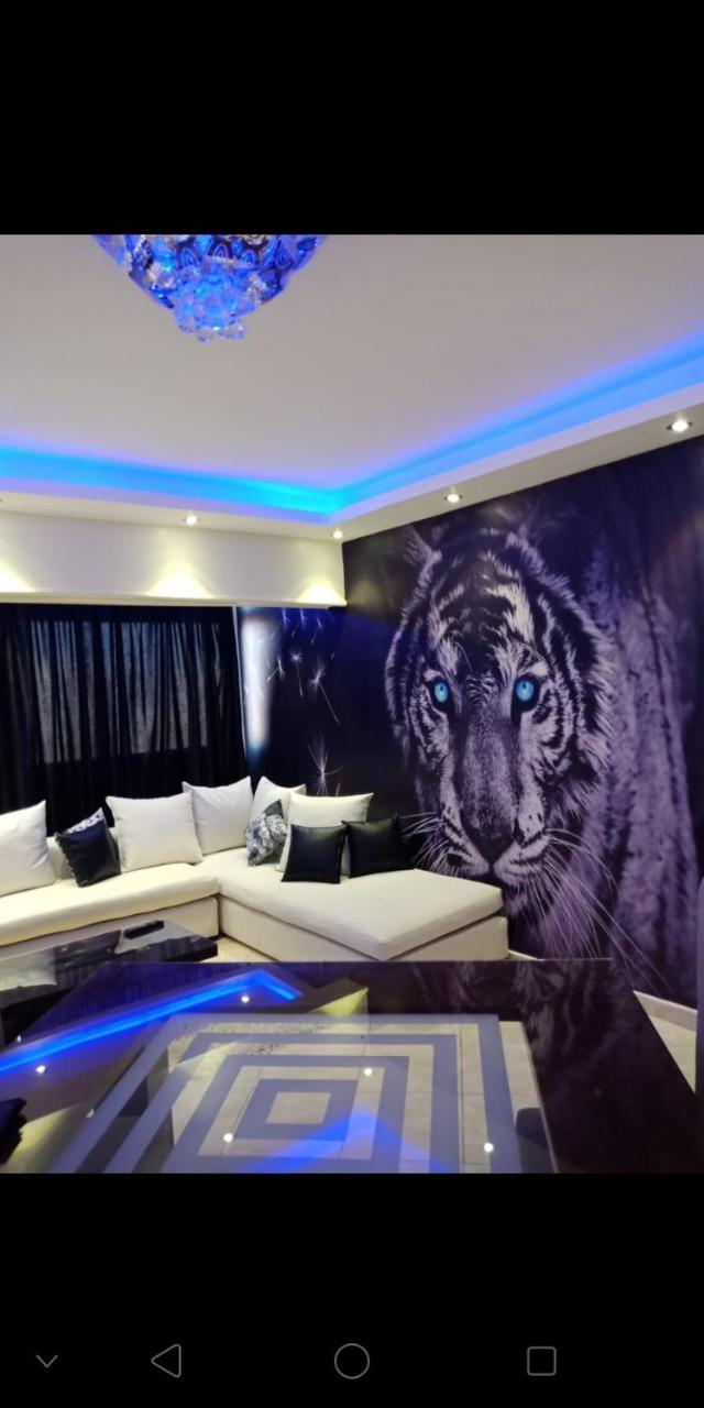 Luxury Apartment In Nasr City 开罗 外观 照片